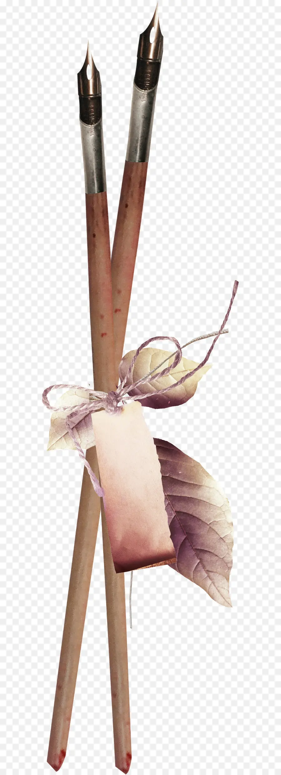 Stylos Plumes，Feuilles PNG