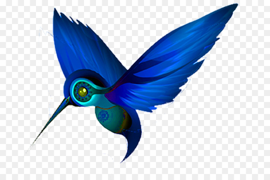 Colibri Bleu，Colibri PNG