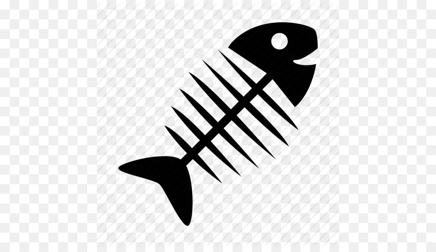 Squelette De Poisson，Os PNG