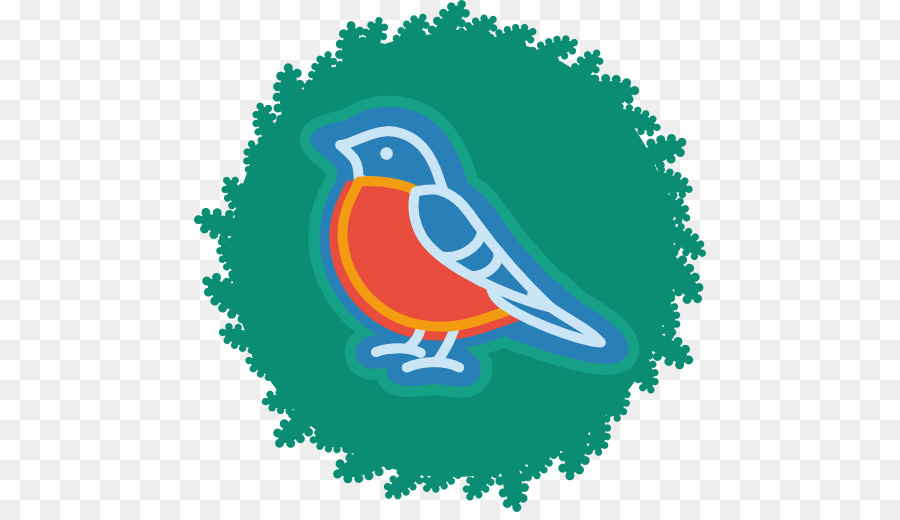 Oiseau，Robin PNG