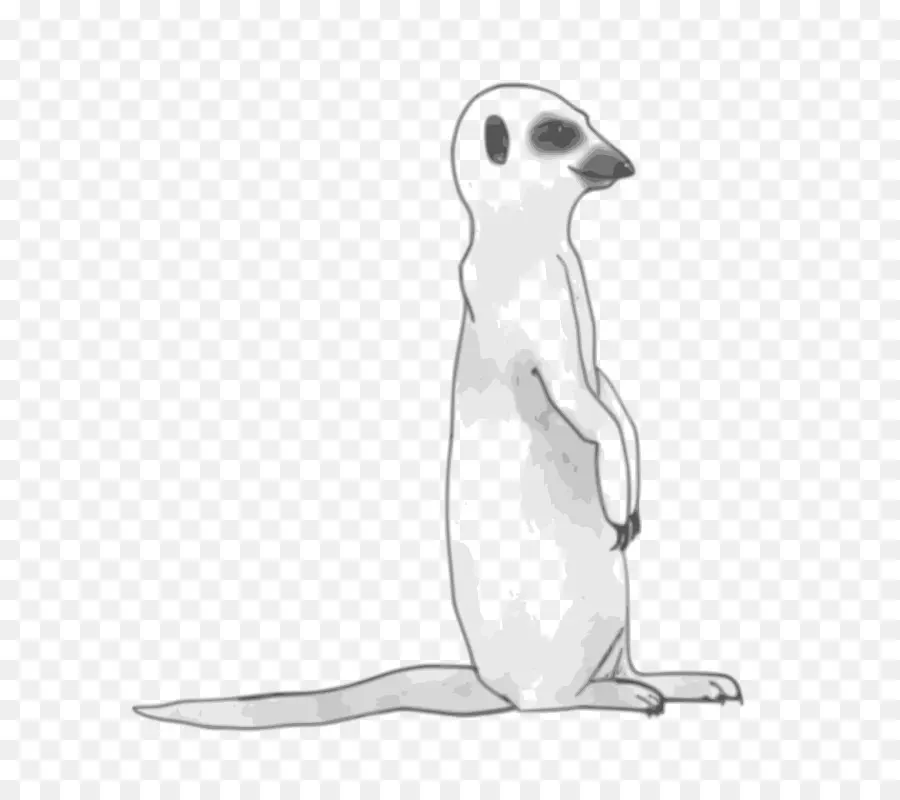 Suricate Debout，Alerte PNG