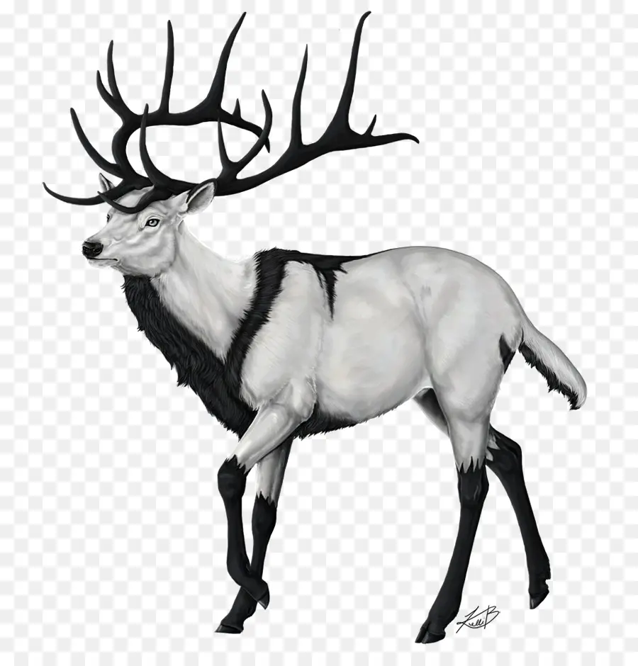 Cerf，Bois PNG