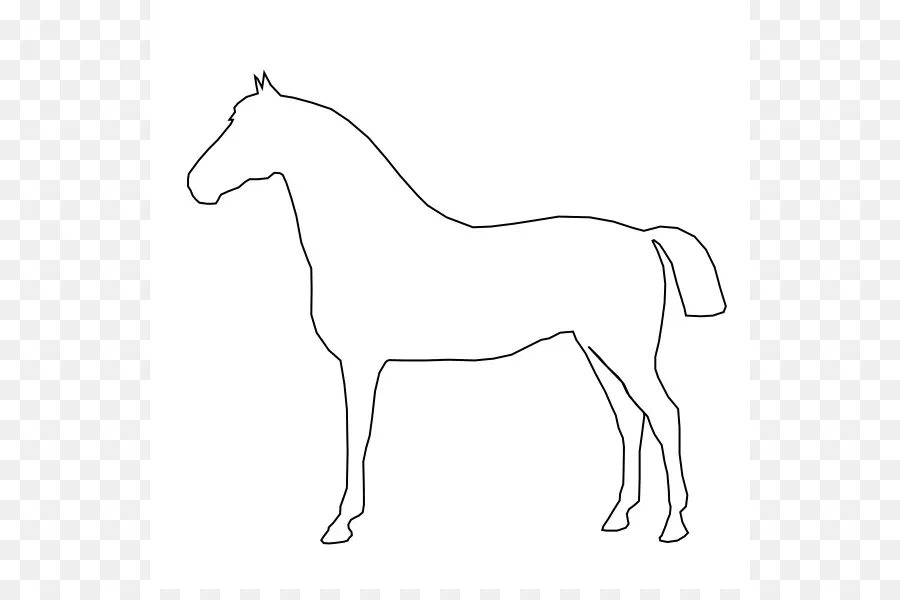 Aperçu Du Cheval，Dessin PNG