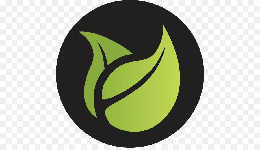 Feuille Verte，Feuille PNG