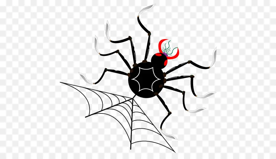 Araignée Et Toile，Arachnide PNG