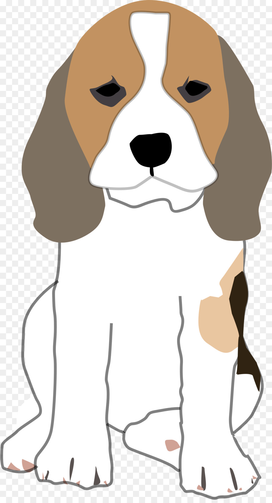 Chien Saint Bernard，Animal De Compagnie PNG