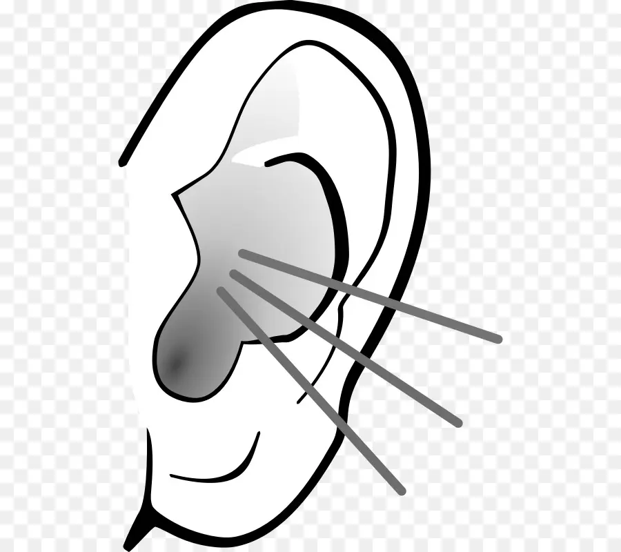 Oreille，Audience PNG