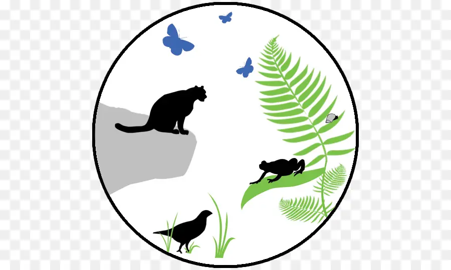 Silhouettes Naturelles，Animaux PNG