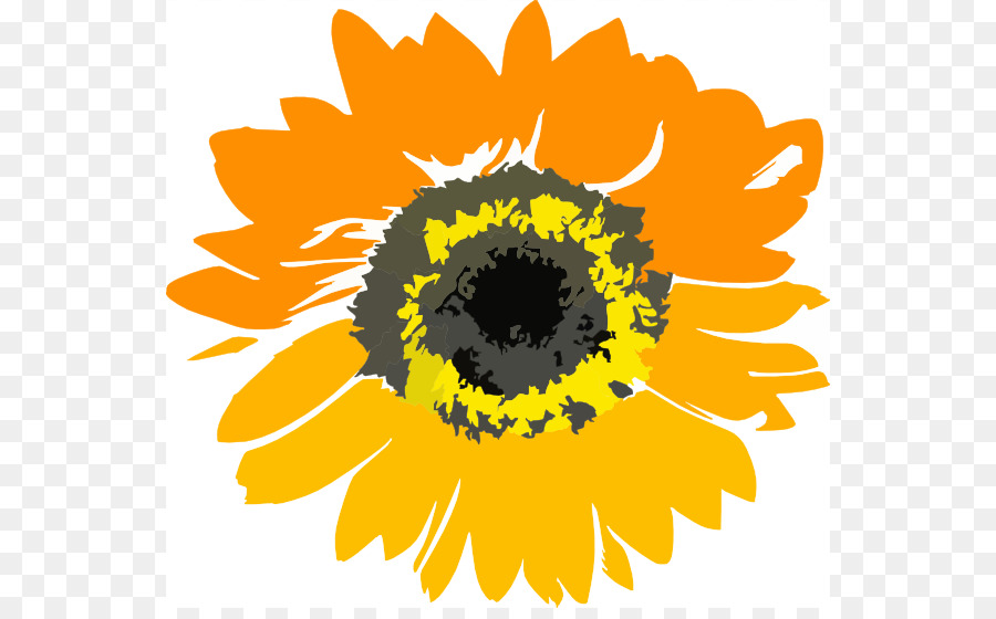 Tournesol，Nature PNG