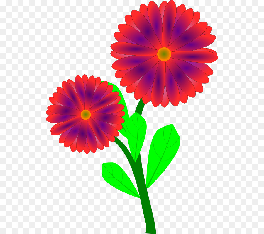 Fleur Rose，Floraison PNG