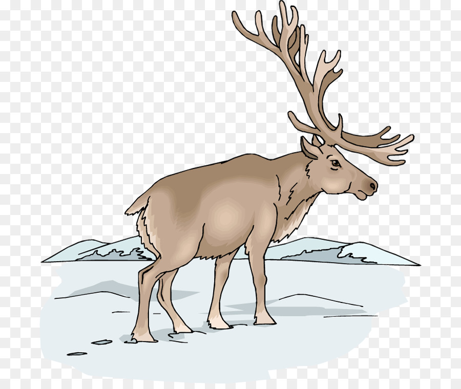 L Orignal，Elk PNG