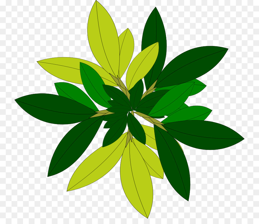 Feuille Verte，Nature PNG