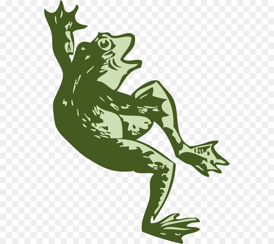 Grenouille，Stockxchng PNG