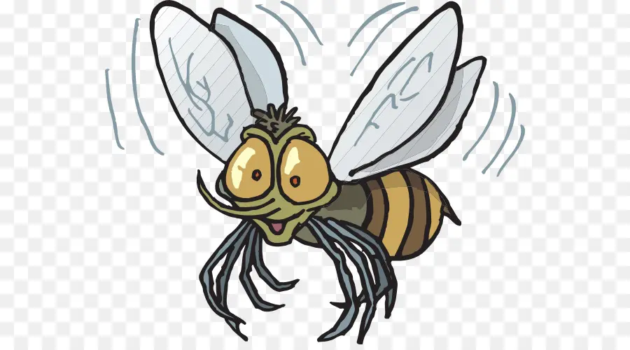 Abeille，Insecte PNG