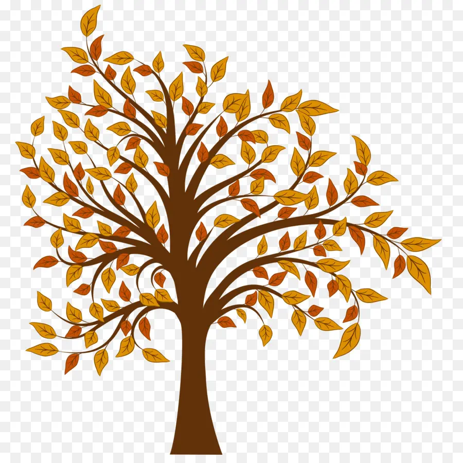 Arbre，Racines PNG