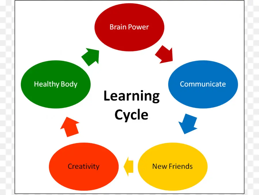 Cycle D'apprentissage，éducation PNG