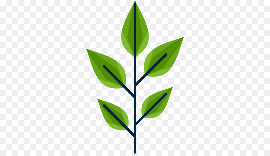 Feuille Verte，Usine PNG