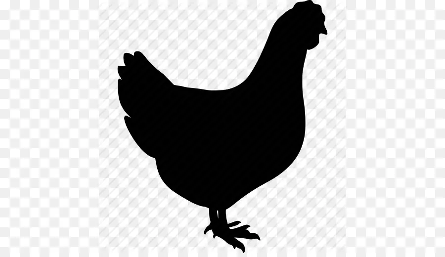 Silhouette De Poulet，Volaille PNG