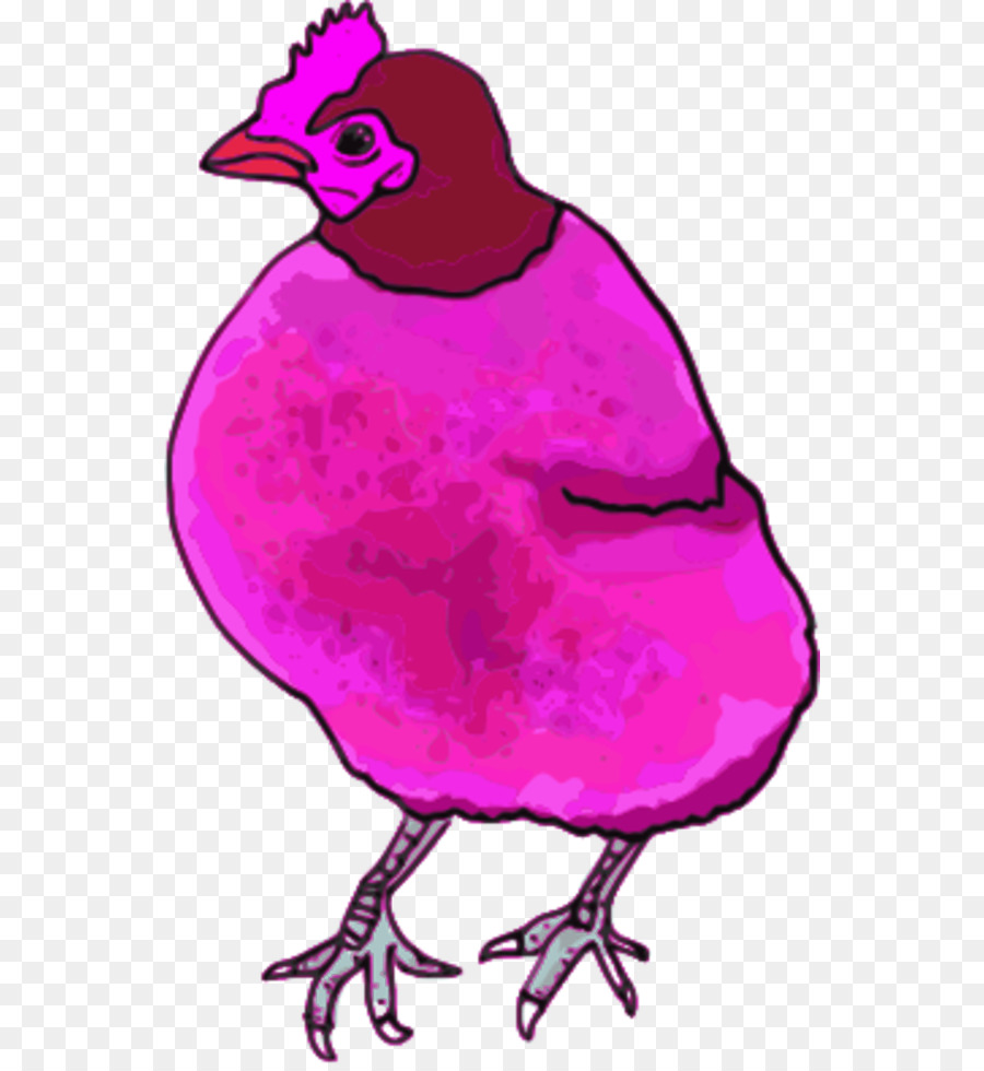 Poulet，Petite Poule Rouge PNG