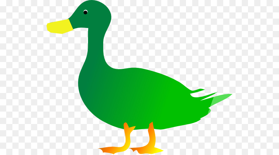 Canard，Mallard PNG