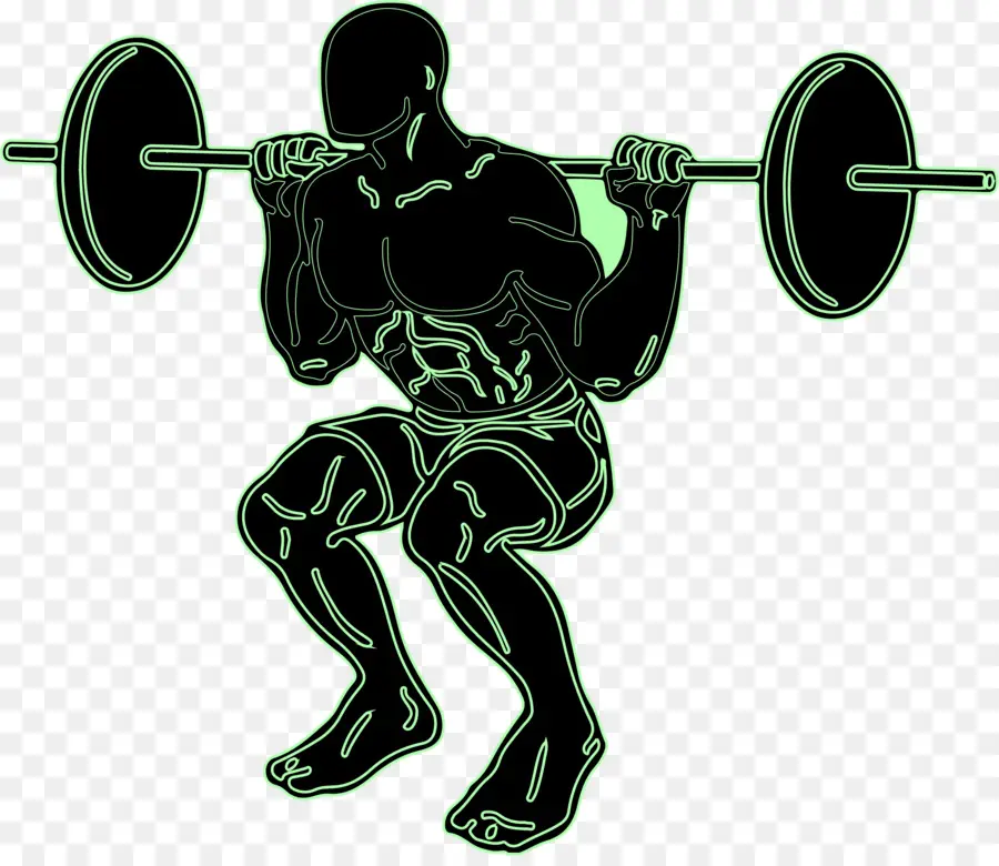 L Haltérophilie，Squat PNG