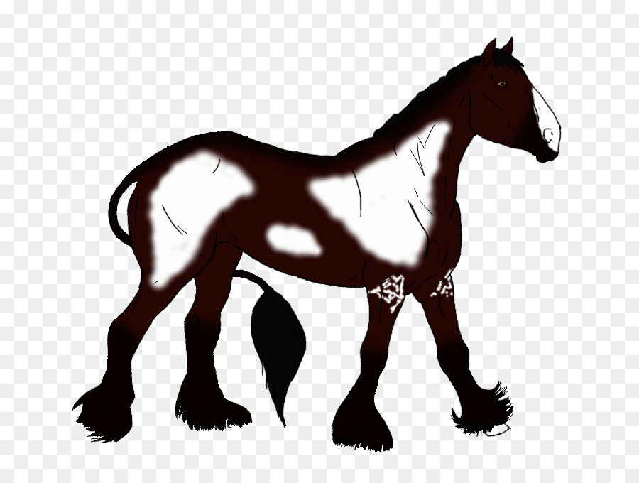 Cheval，équidé PNG