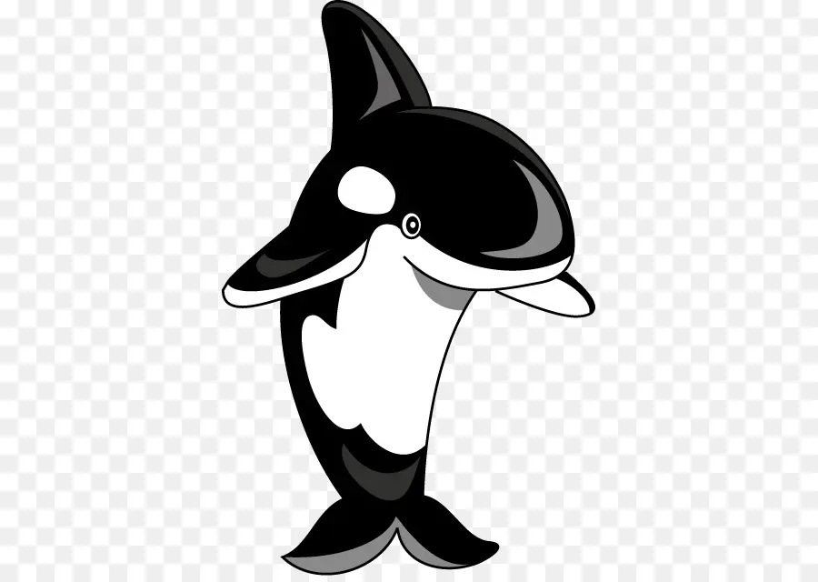 Orque，Baleine PNG