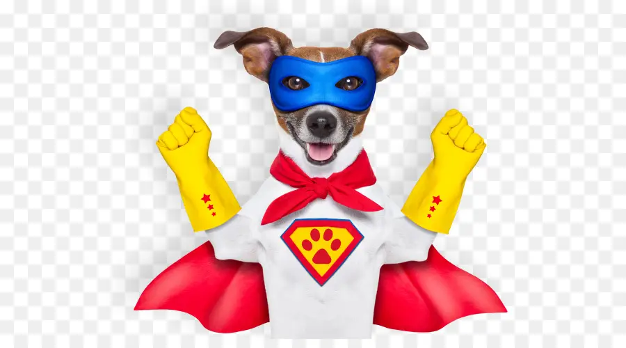 Chien De Super Héros，Super Héros PNG