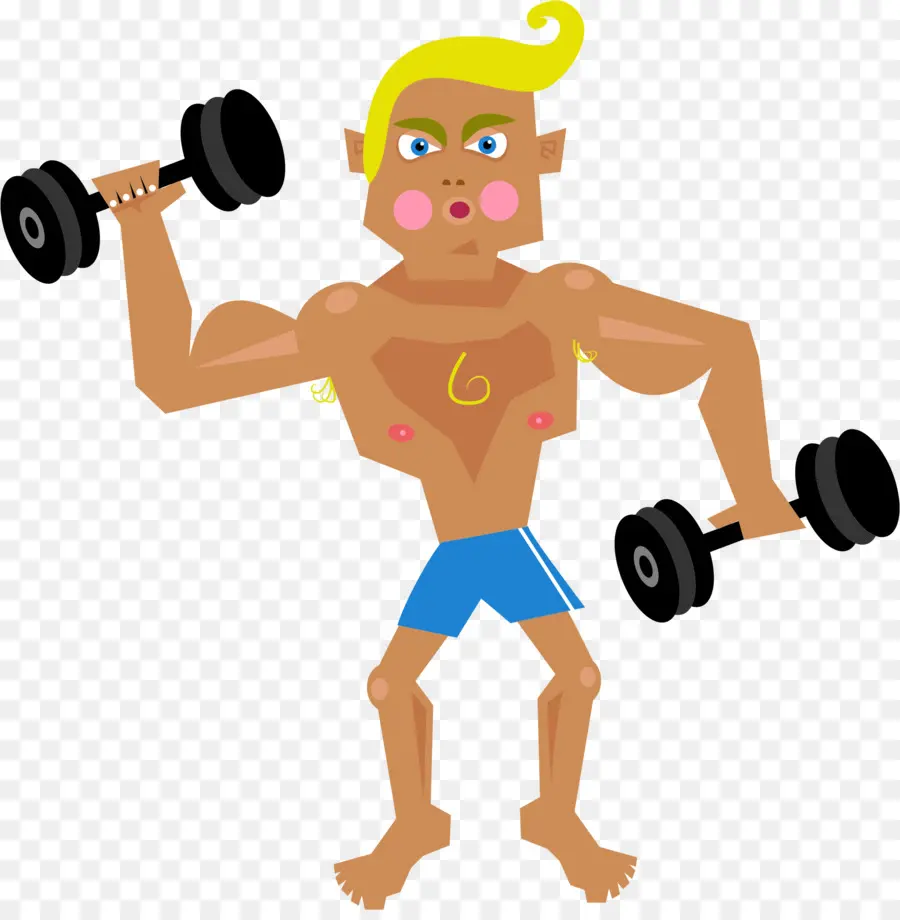 Muscle，Musculation PNG