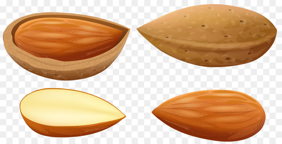 Amandes，Noix PNG