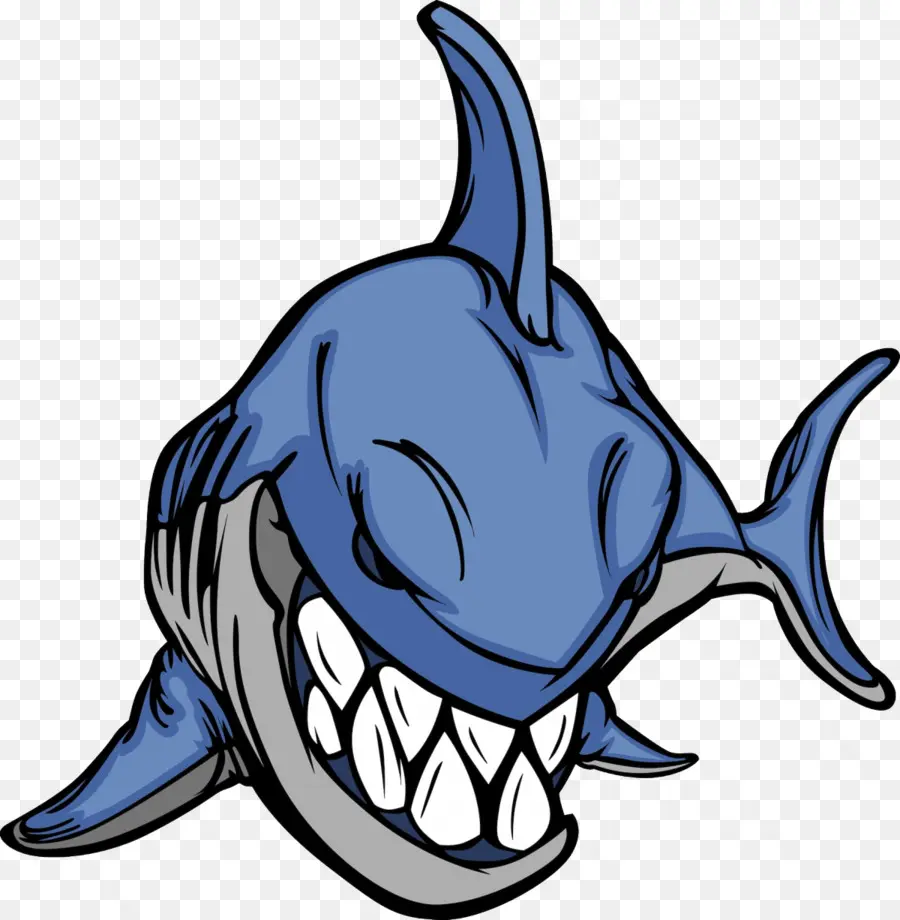 Requin De Dessin Animé，Requin PNG