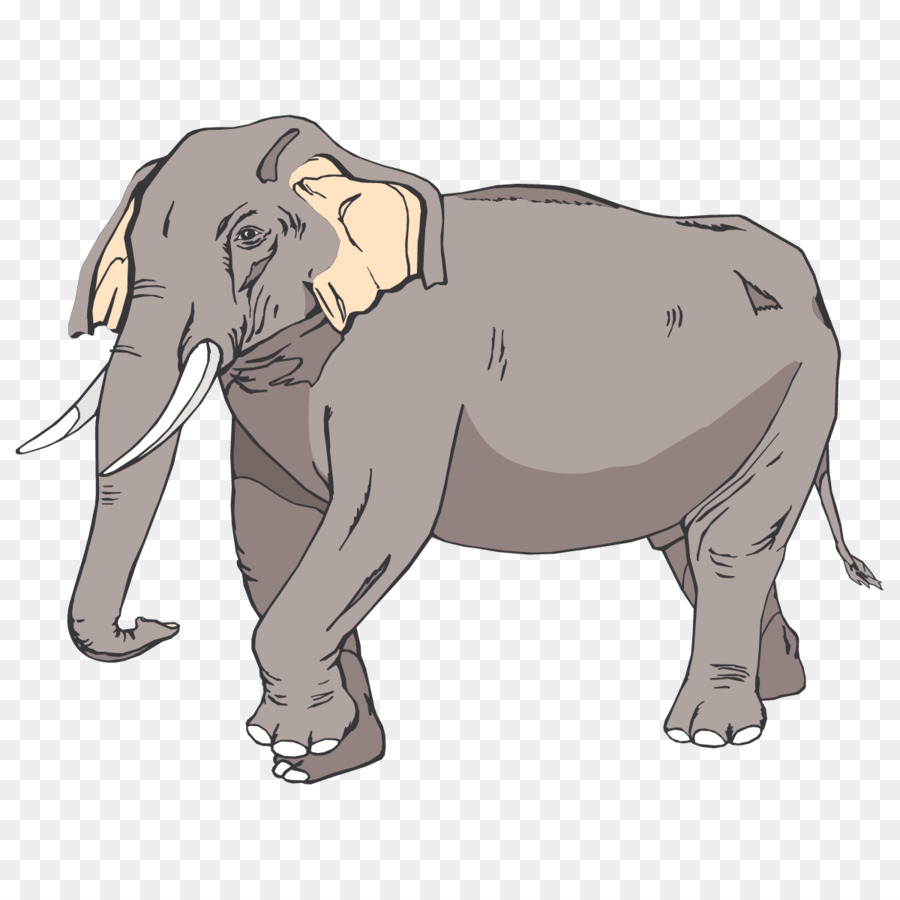 Éléphant D Asie，L éléphant PNG