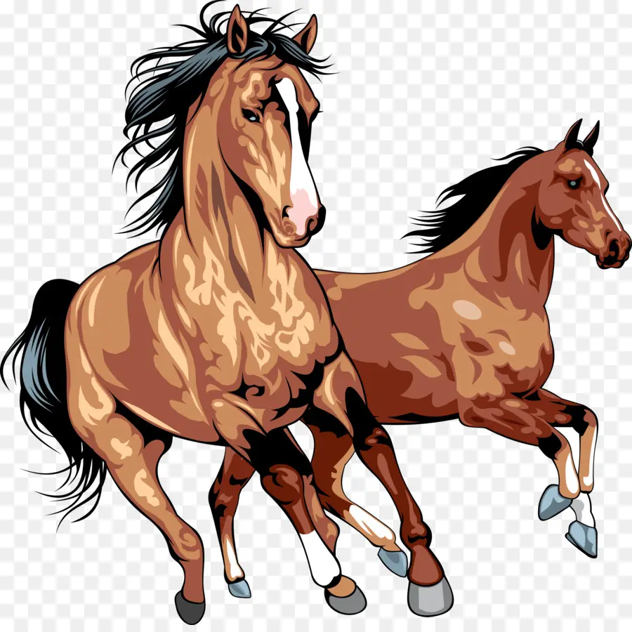 Chevaux Qui Courent，Animaux PNG