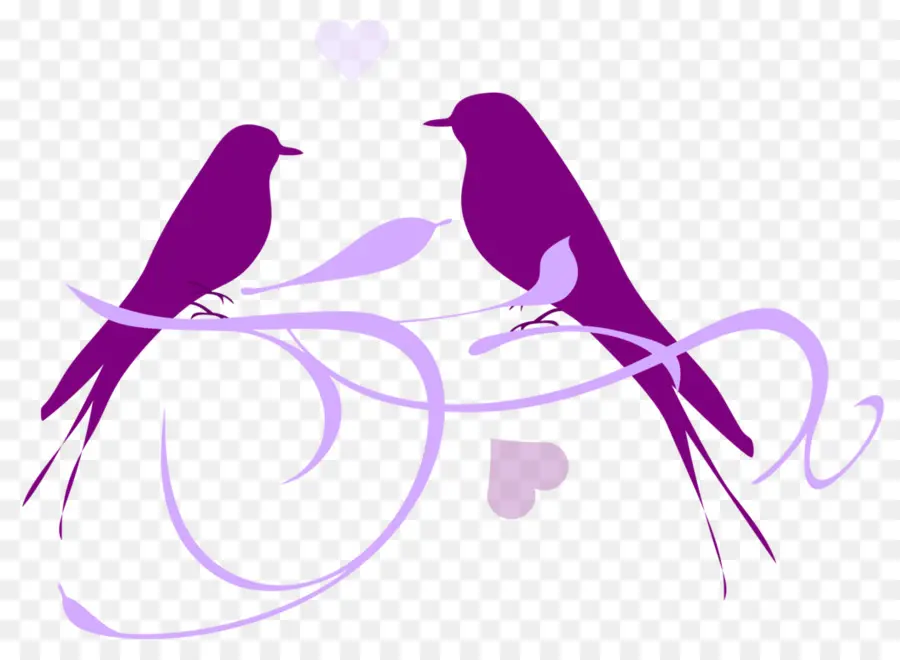 Oiseaux，Violet PNG