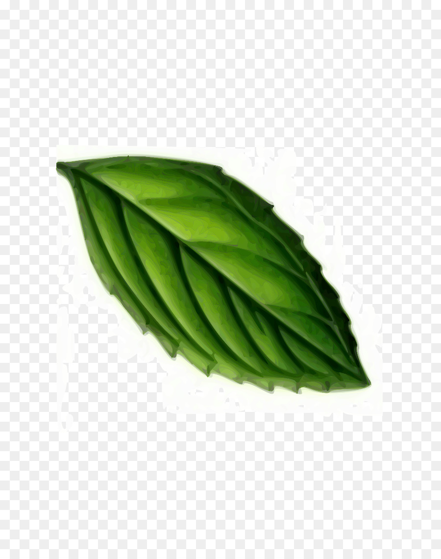 Feuille Verte，Nature PNG