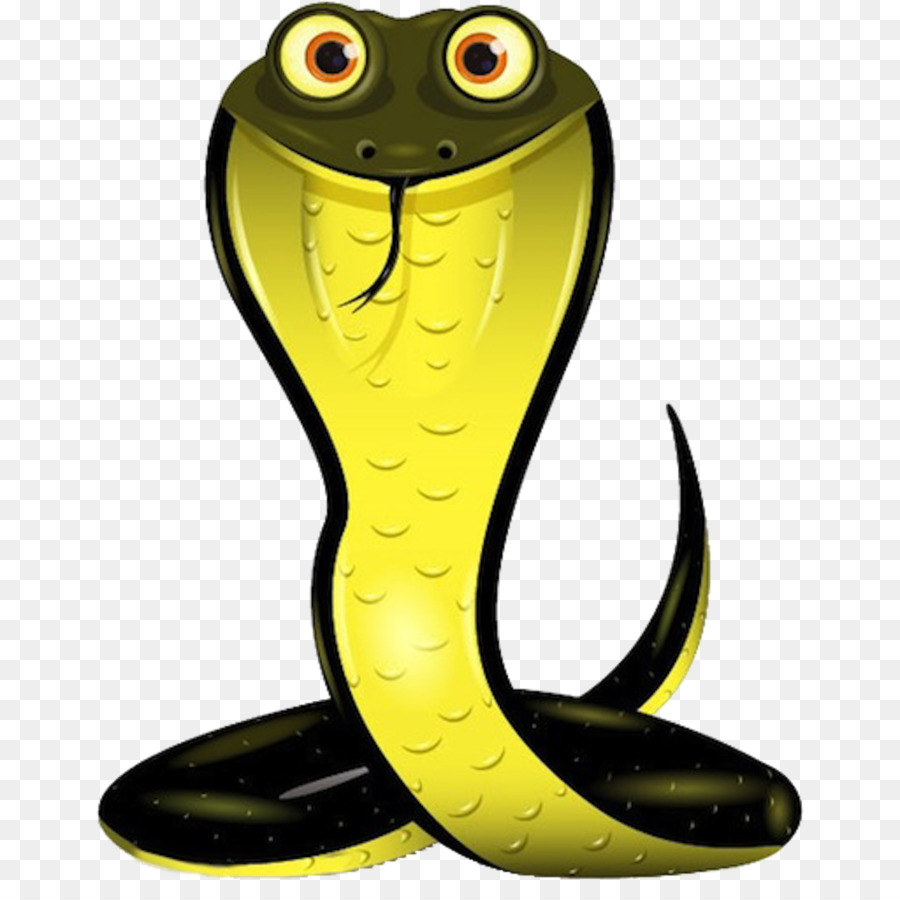 Serpent，Reptile PNG