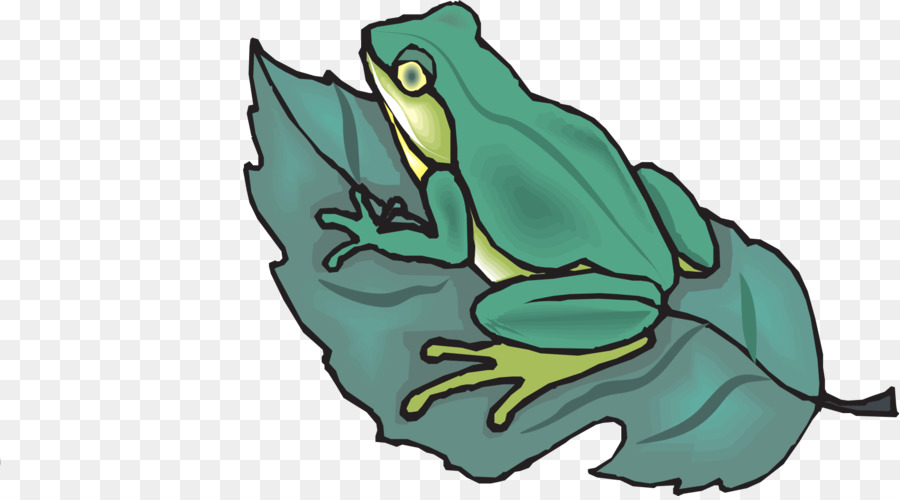 Grenouille，Feuille PNG