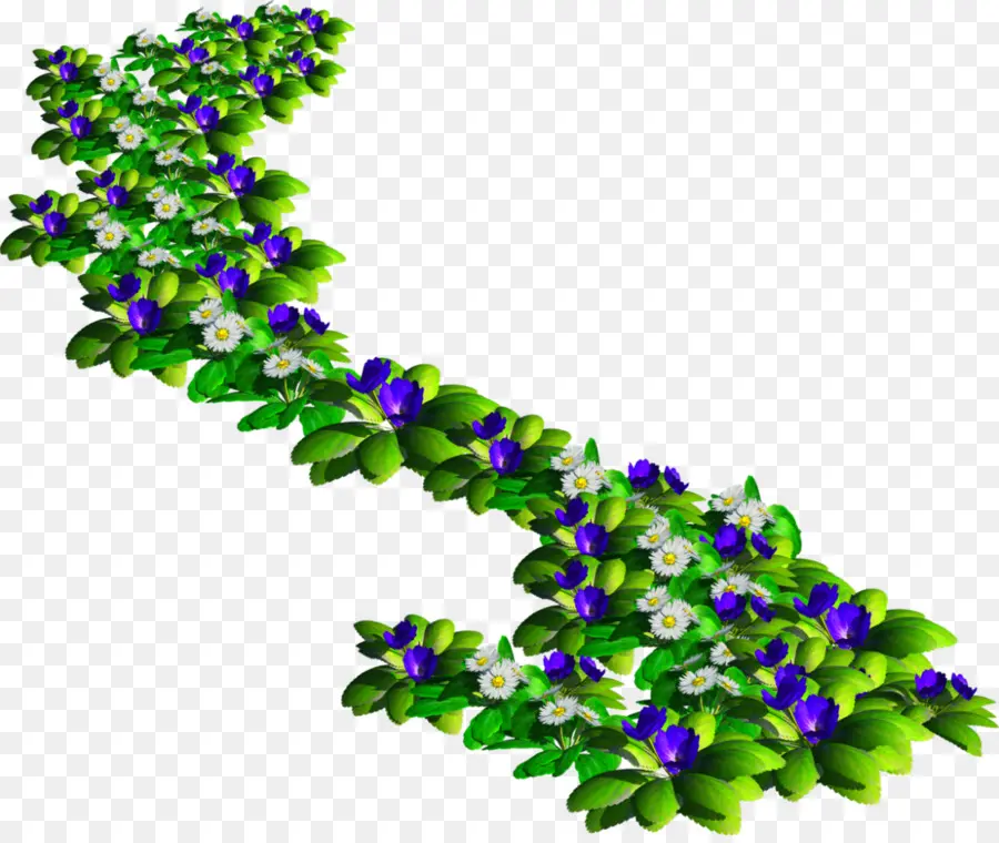 Chemin Des Fleurs，Fleurs PNG