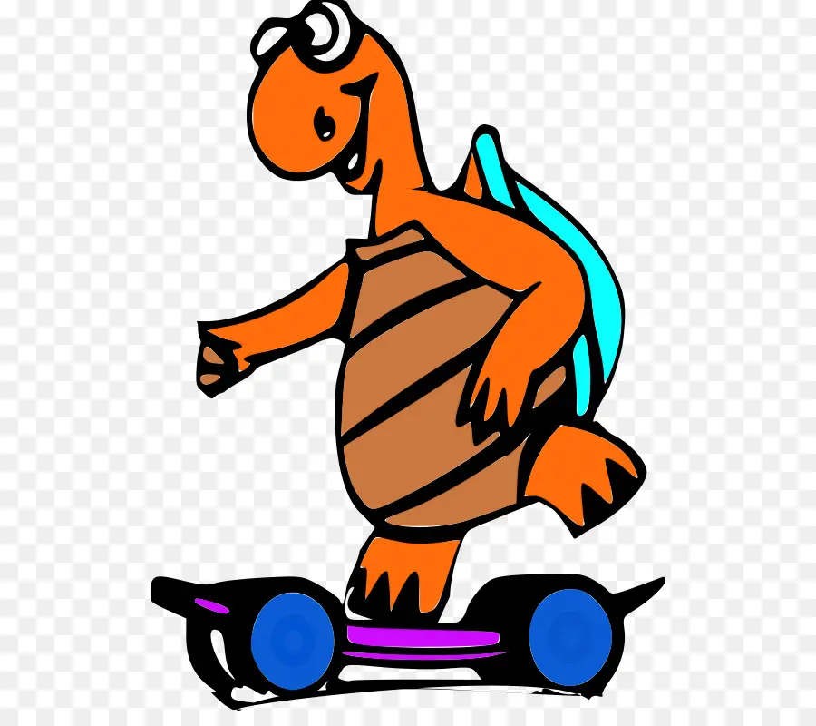 Tortue，Skateboard PNG