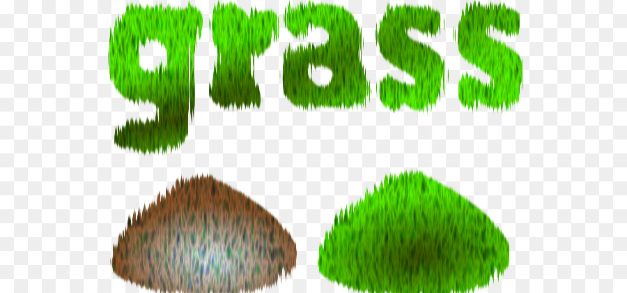 Herbes，Graminoïde PNG