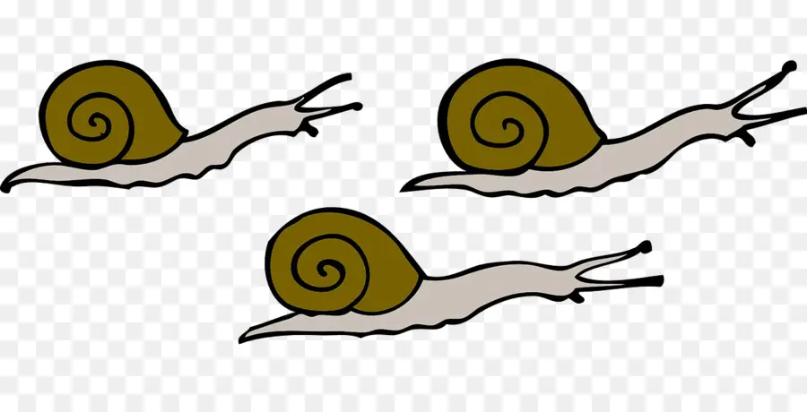 Escargot，Télécharger PNG