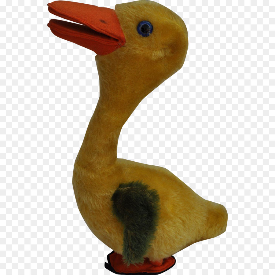 Oie，Canard PNG