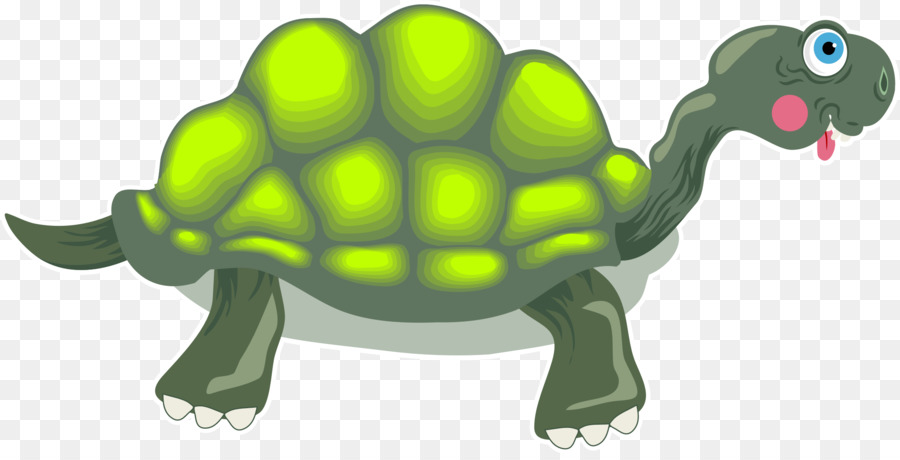 Tortue，Reptile PNG