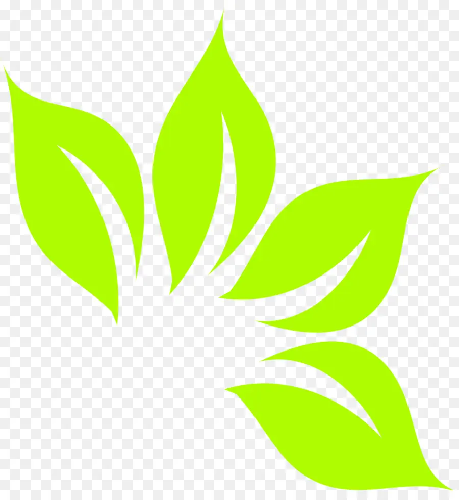 Feuilles Vertes，Usine PNG