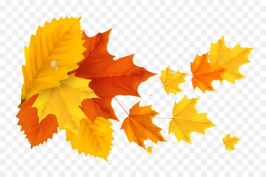 Feuilles D'automne，Automne PNG