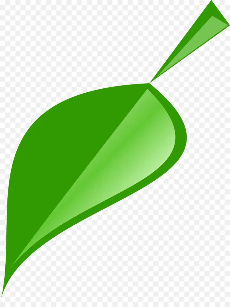 Feuille Verte，Usine PNG