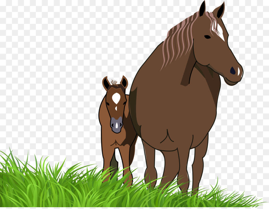 Chevaux，Mère PNG