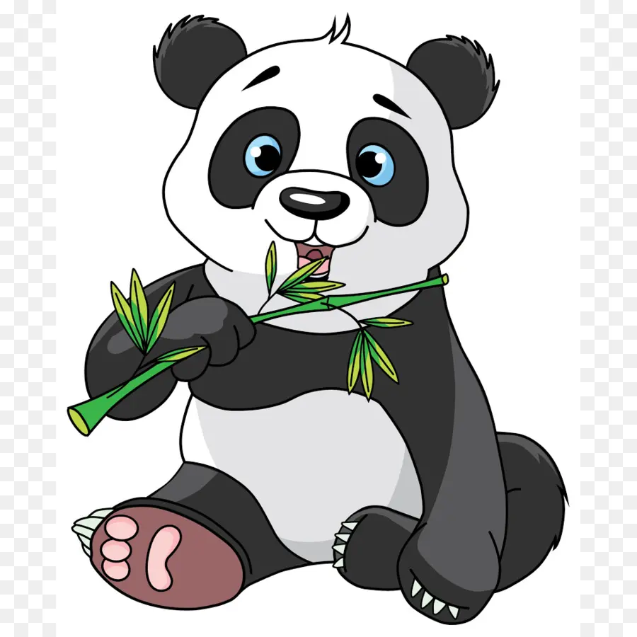 Panda，Bambou PNG