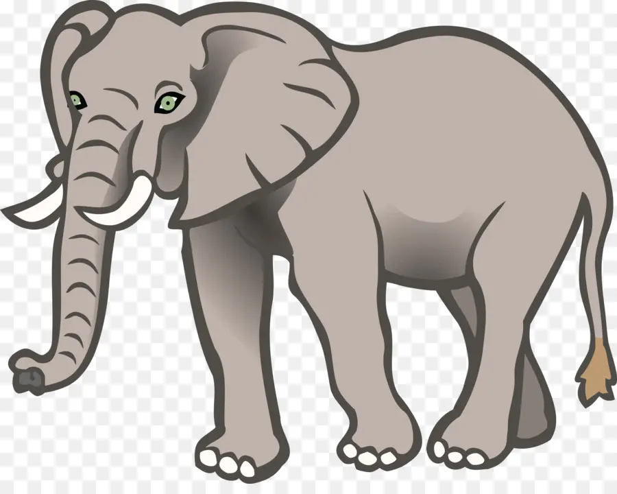 Gros éléphants，L éléphant PNG
