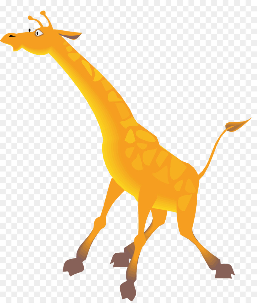 Girafe Du Nord，Cdr PNG